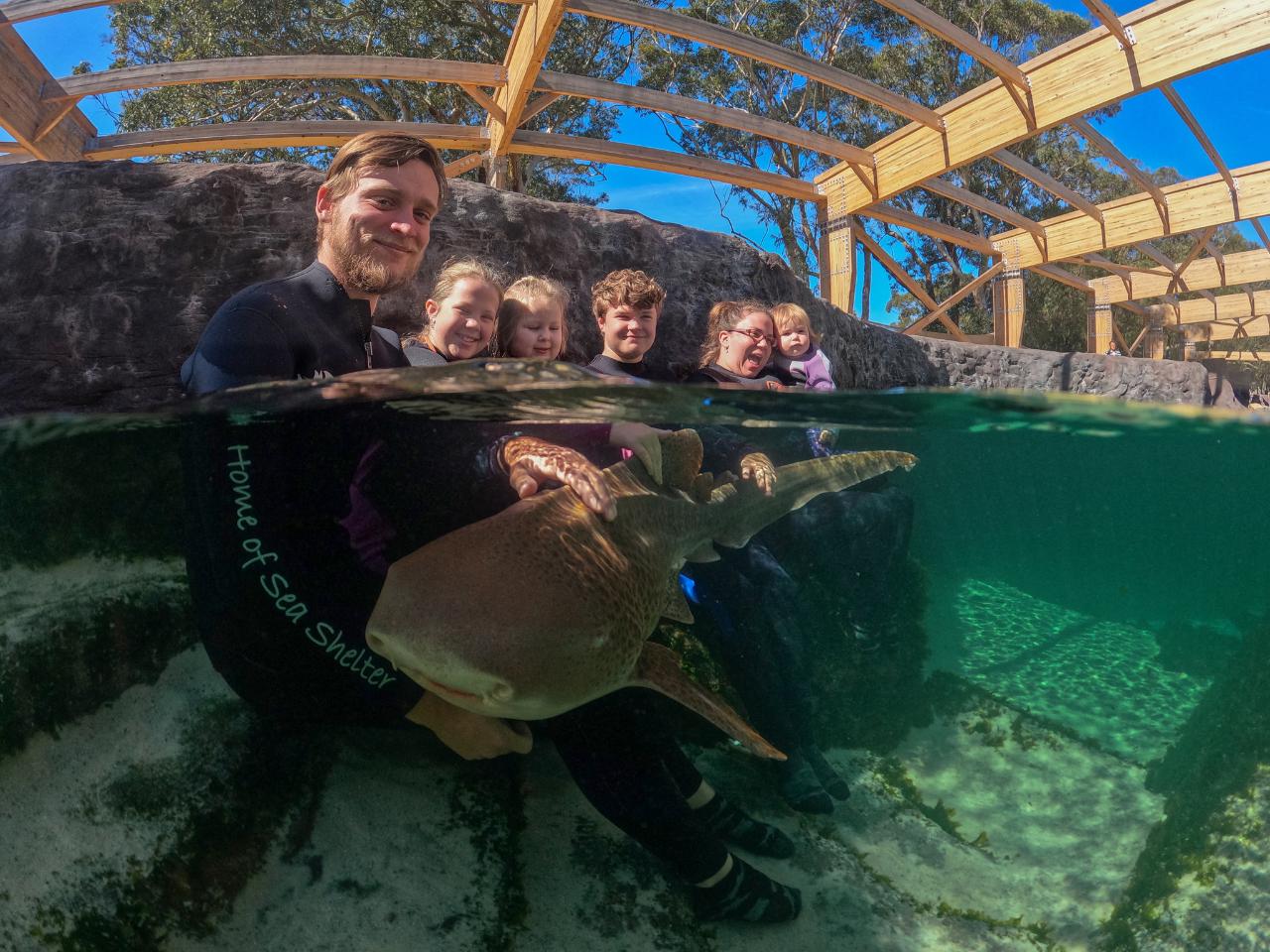 Zebra Shark Encounter With Entry Pass