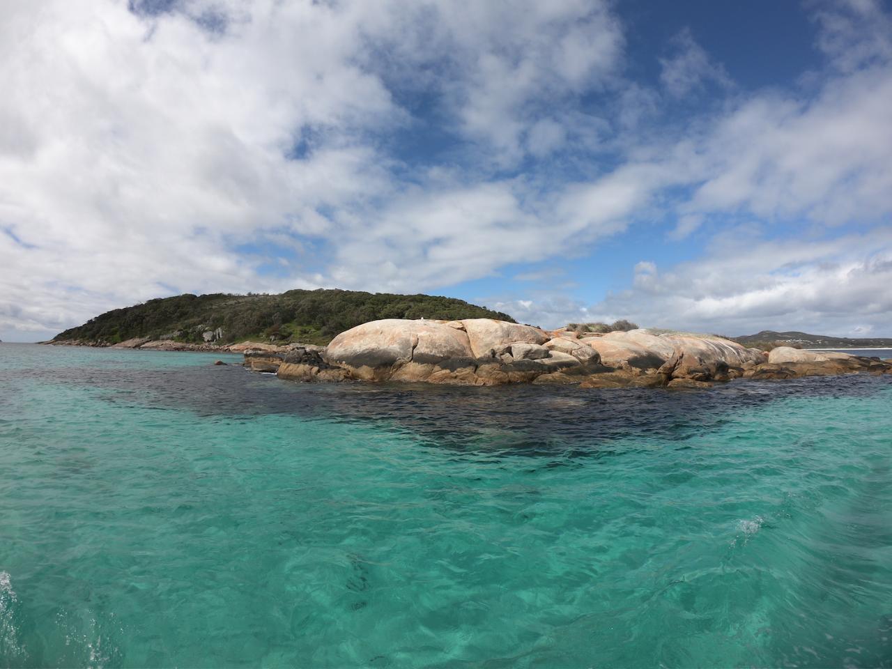 2 Hour Summer Sea Safari (Nov - Apr) Around King George Sound