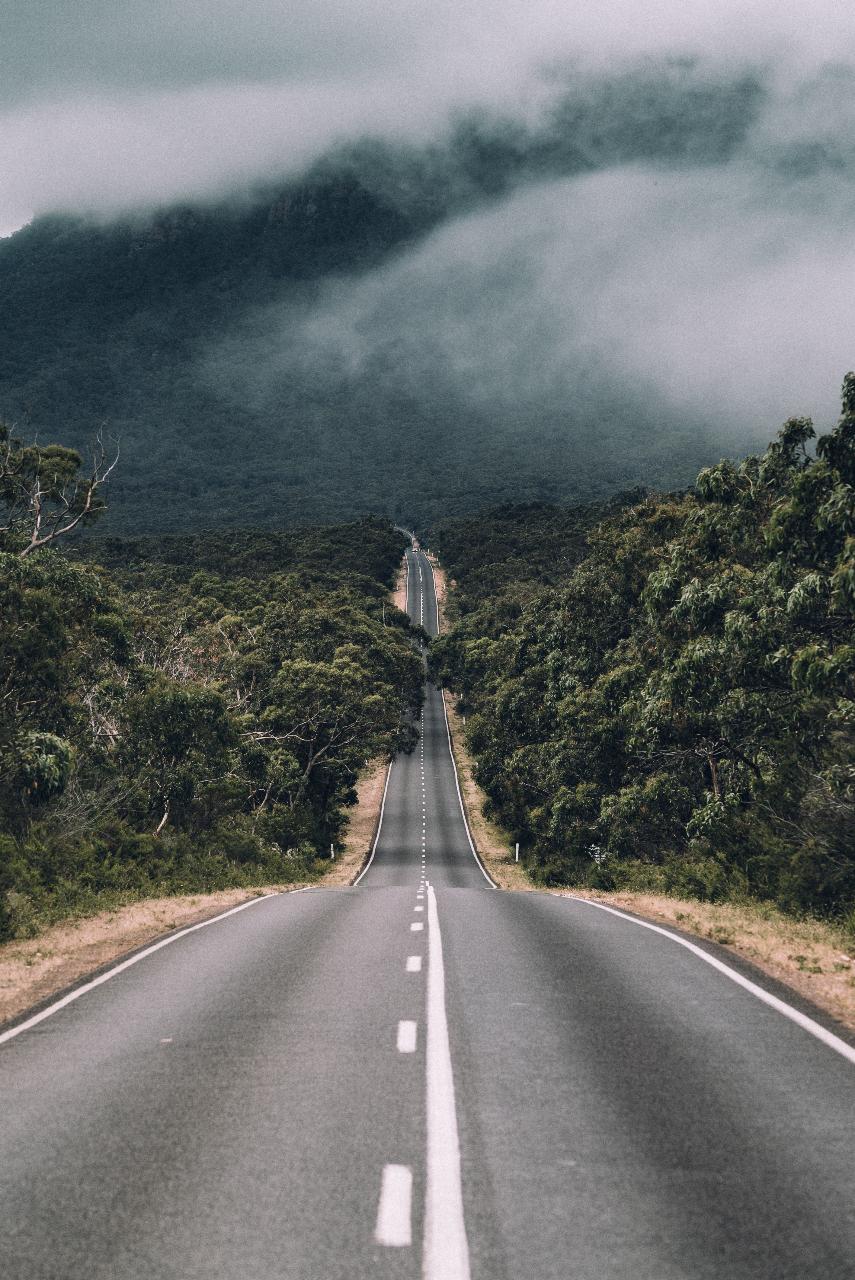 Experience The Grampians On A Full Day Tour