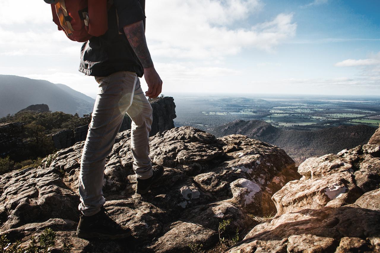 Experience The Grampians On A Full Day Tour