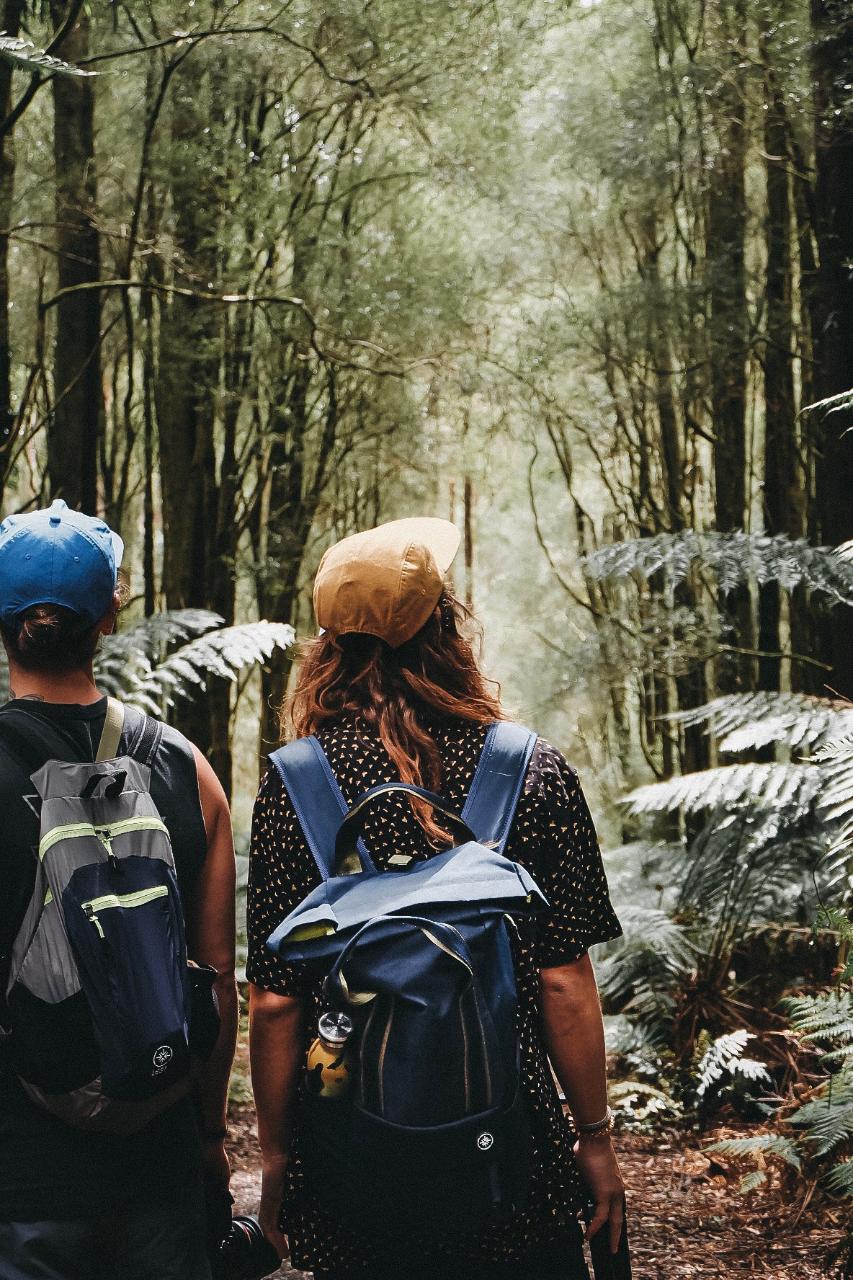 12 Apostles, Great Otways & Great Ocean Road Day Tour