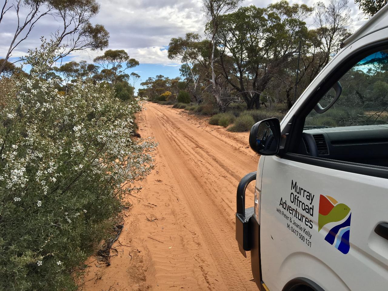 Australian Bush Delights - Hattah National Park Tour