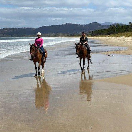 Horse Riding Lesson Plus Introductory - Demonstration 1 Hr Lesson