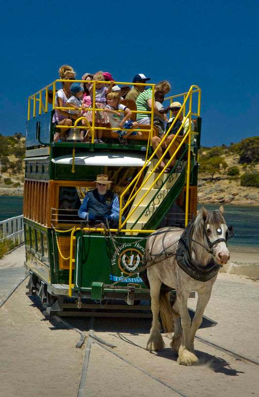 Victor Harbor, Goolwa & Mouth Of The Murray