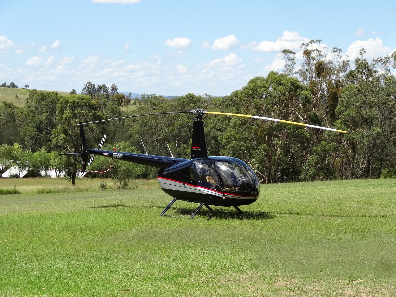 A Feast For The Senses