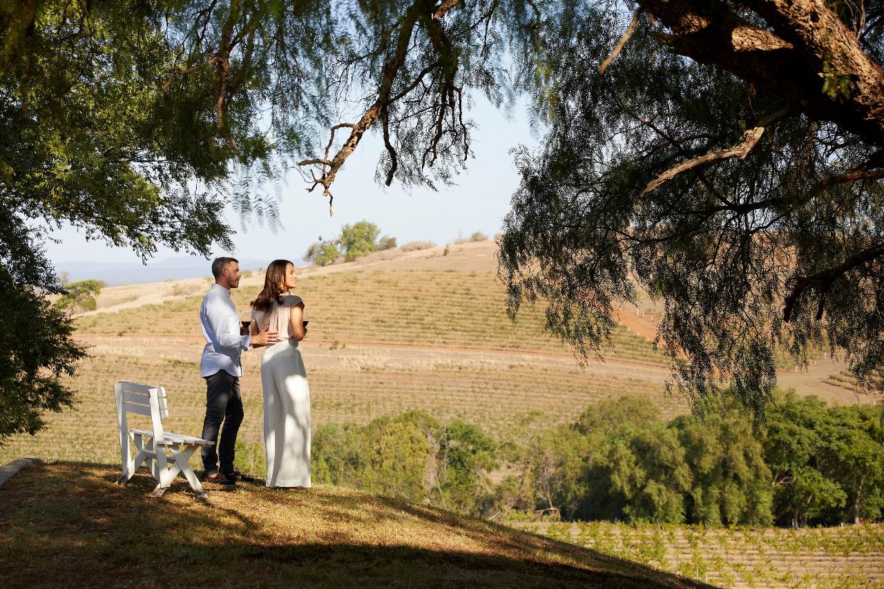 Hunter Valley Scenic Wine & Dine Day Tour