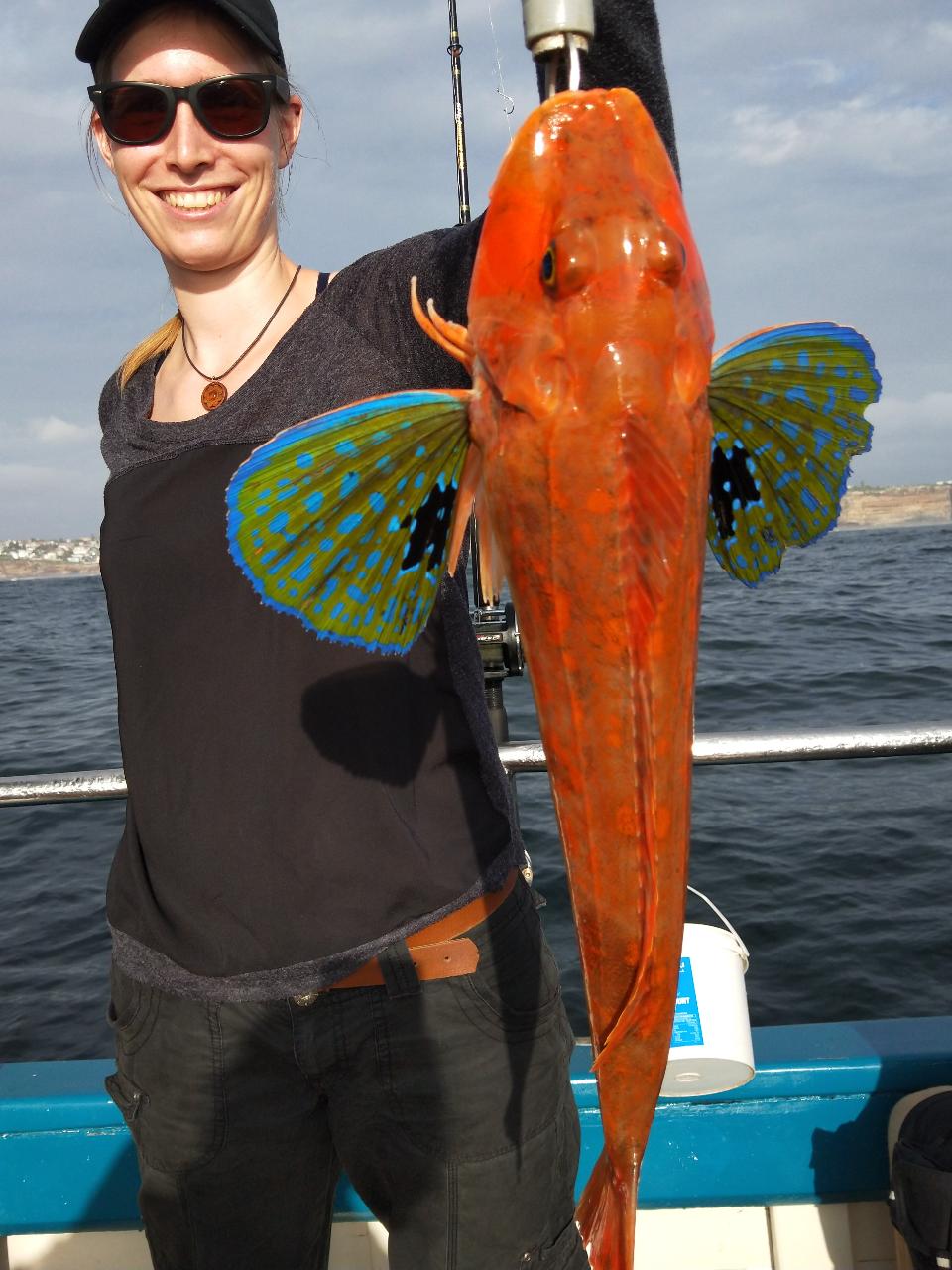 Half-Day Reef Fishing