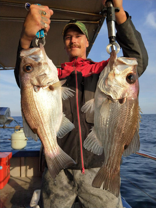 Half-Day Reef Fishing