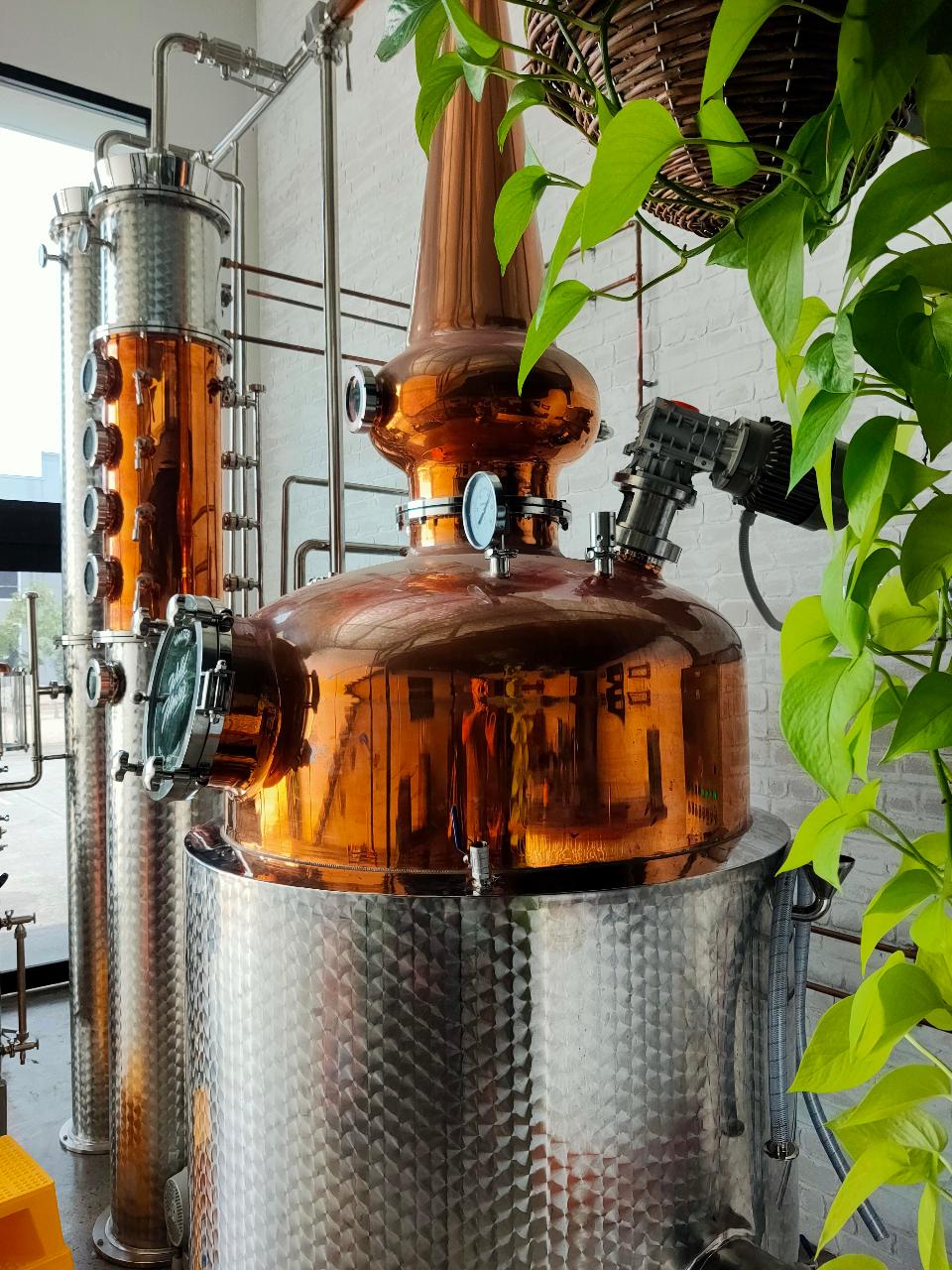 Wildflower Gin Masterclass