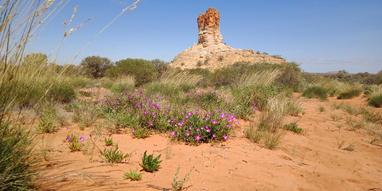 Parallel Time - Chambers Pillar - Private Tour - 4Wd - Full Day
