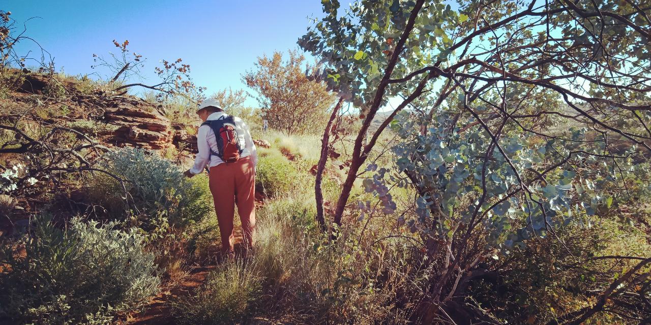 Tracks & Trails - East Macdonnell Ranges - Private Tour - 4Wd - Full Day