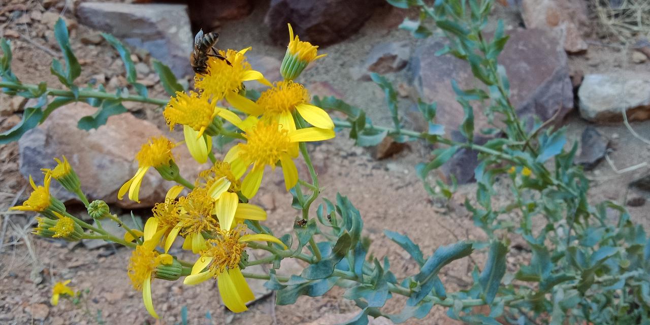 East & West 2 Ways - Private Tour - Half Day