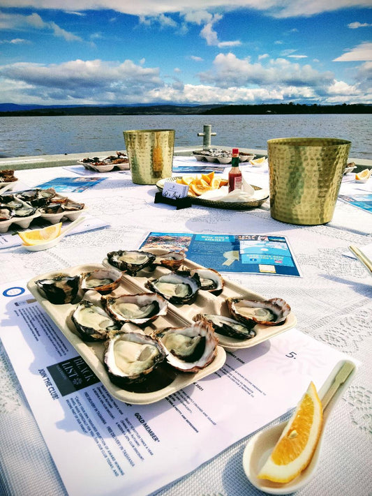 Oyster Farm Shuck And Chat