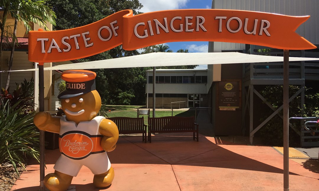 Montville Day Tour: Ginger Factory, Rainforest & Views