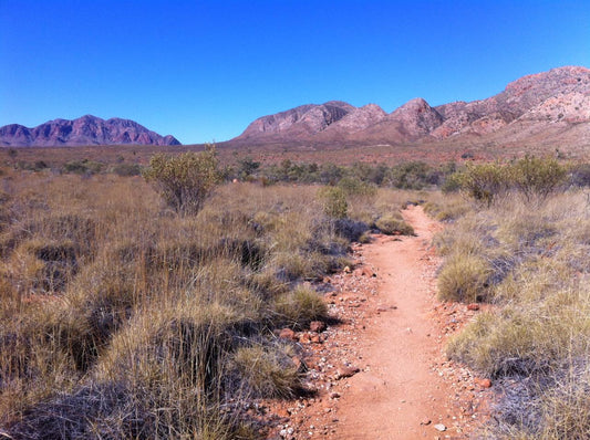 Walk & Waterhole - Ormiston Gorge - Private Tour - Full Day