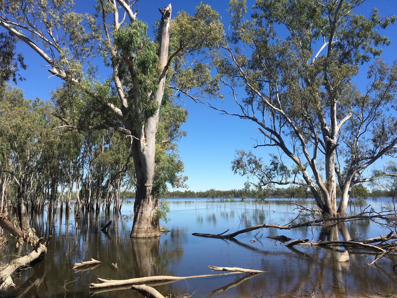 Australian Bush Delights - Hattah National Park Tour