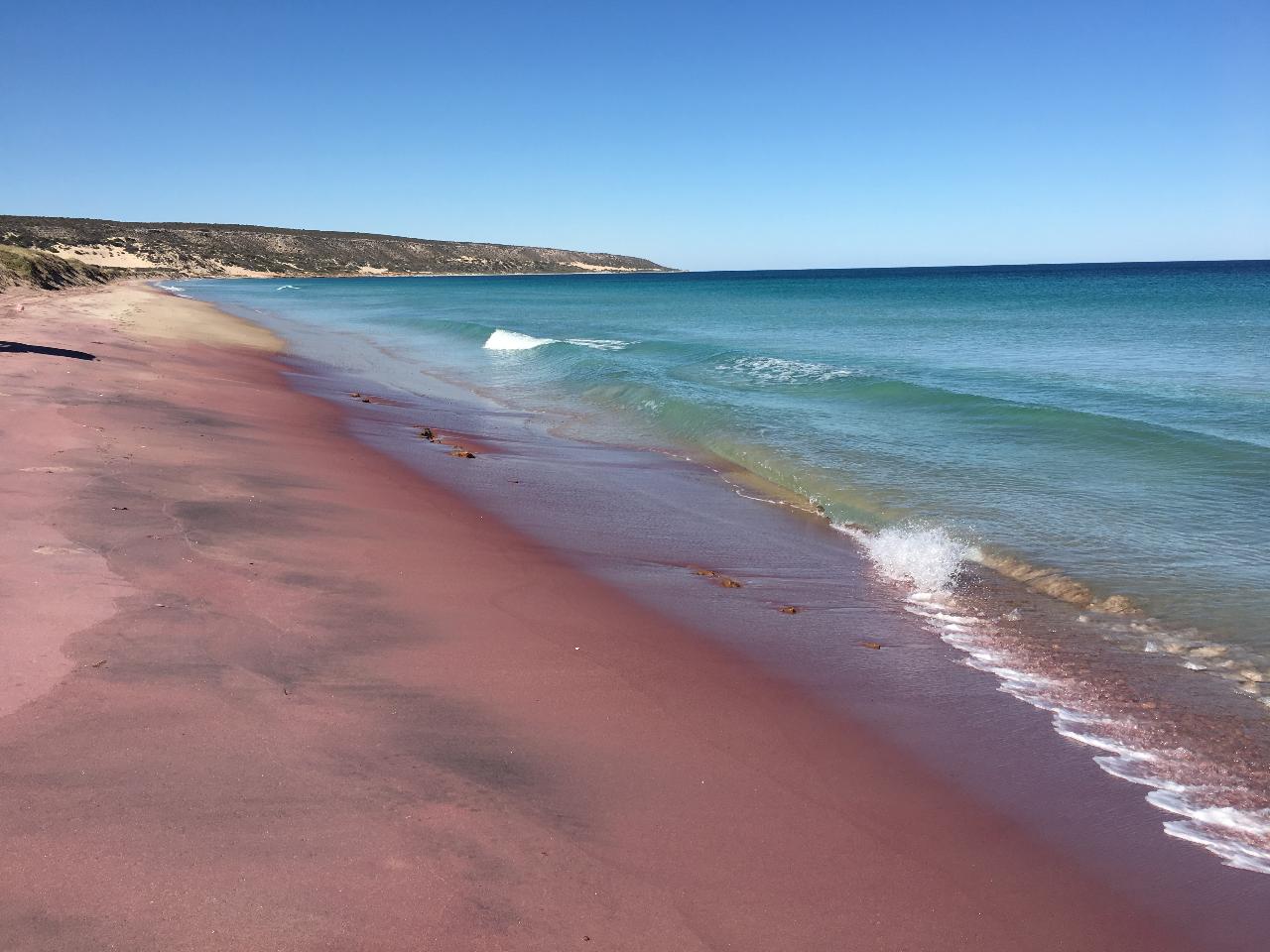 Pink Lake Buggy Tour