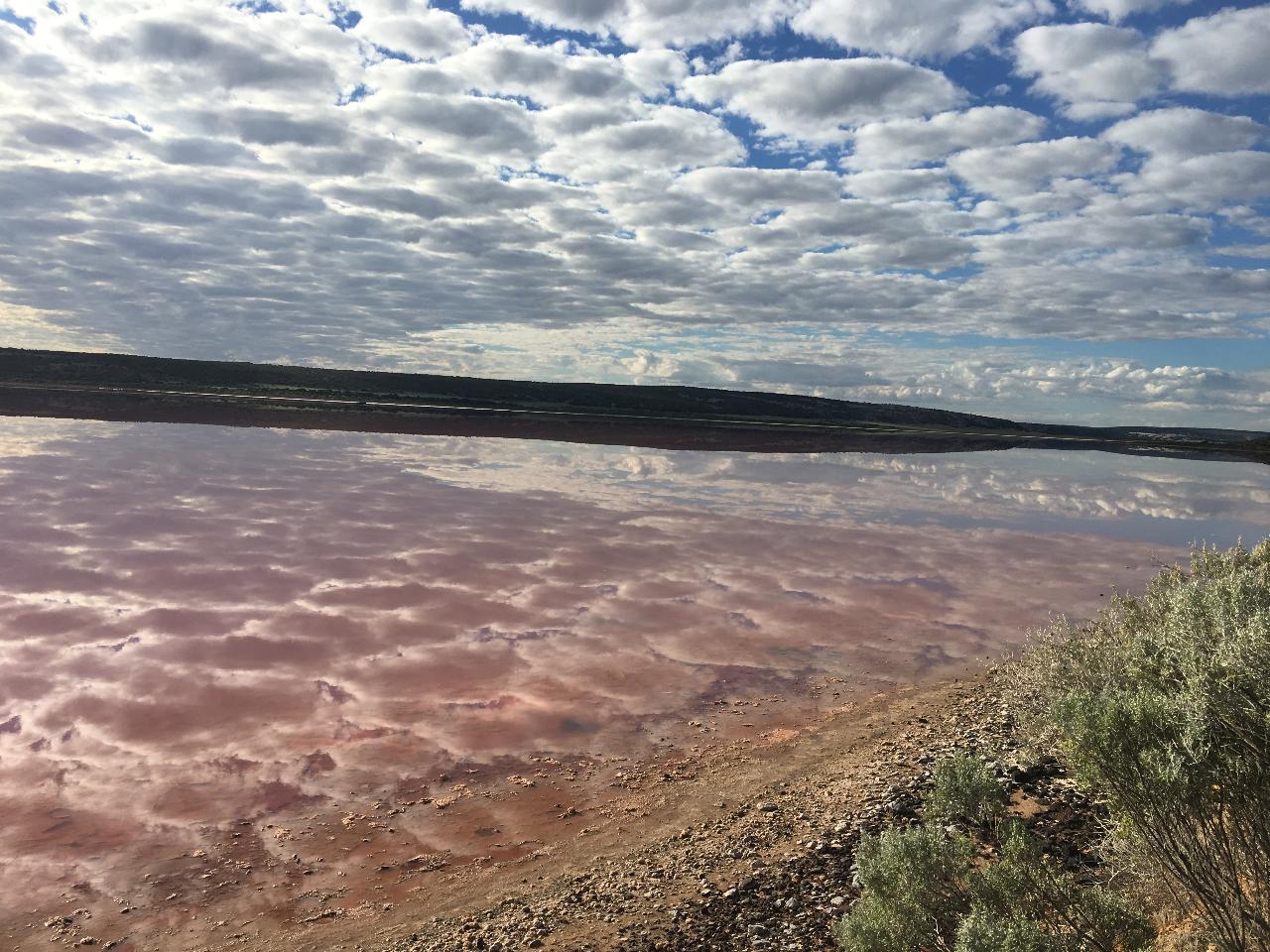 Pink Lake Buggy Tour