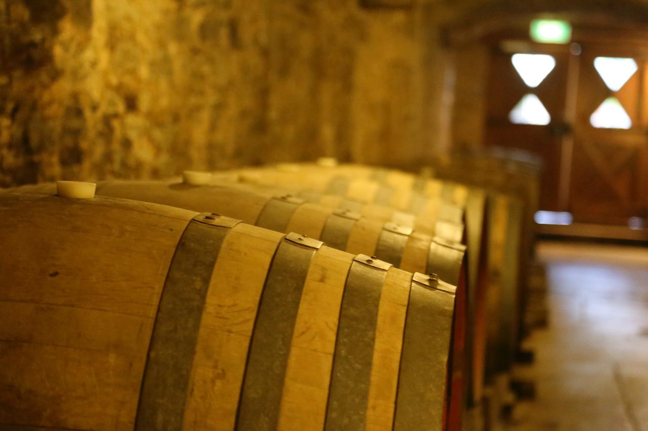 Tour De South Australia Vineyards - Guided Tour