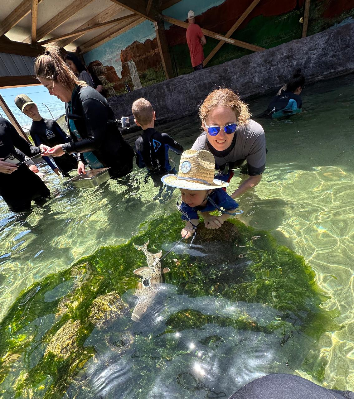 Irukandji Entry Pass & Stepping In The Lagoon Shallows & Shark Food