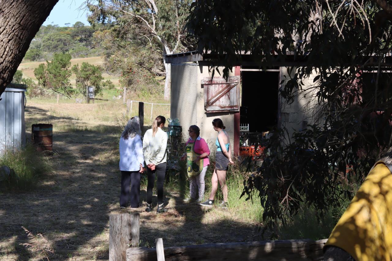 Cindy Poole Glass Artist - Gallery & Behind The Scenes Discover Tour Experience