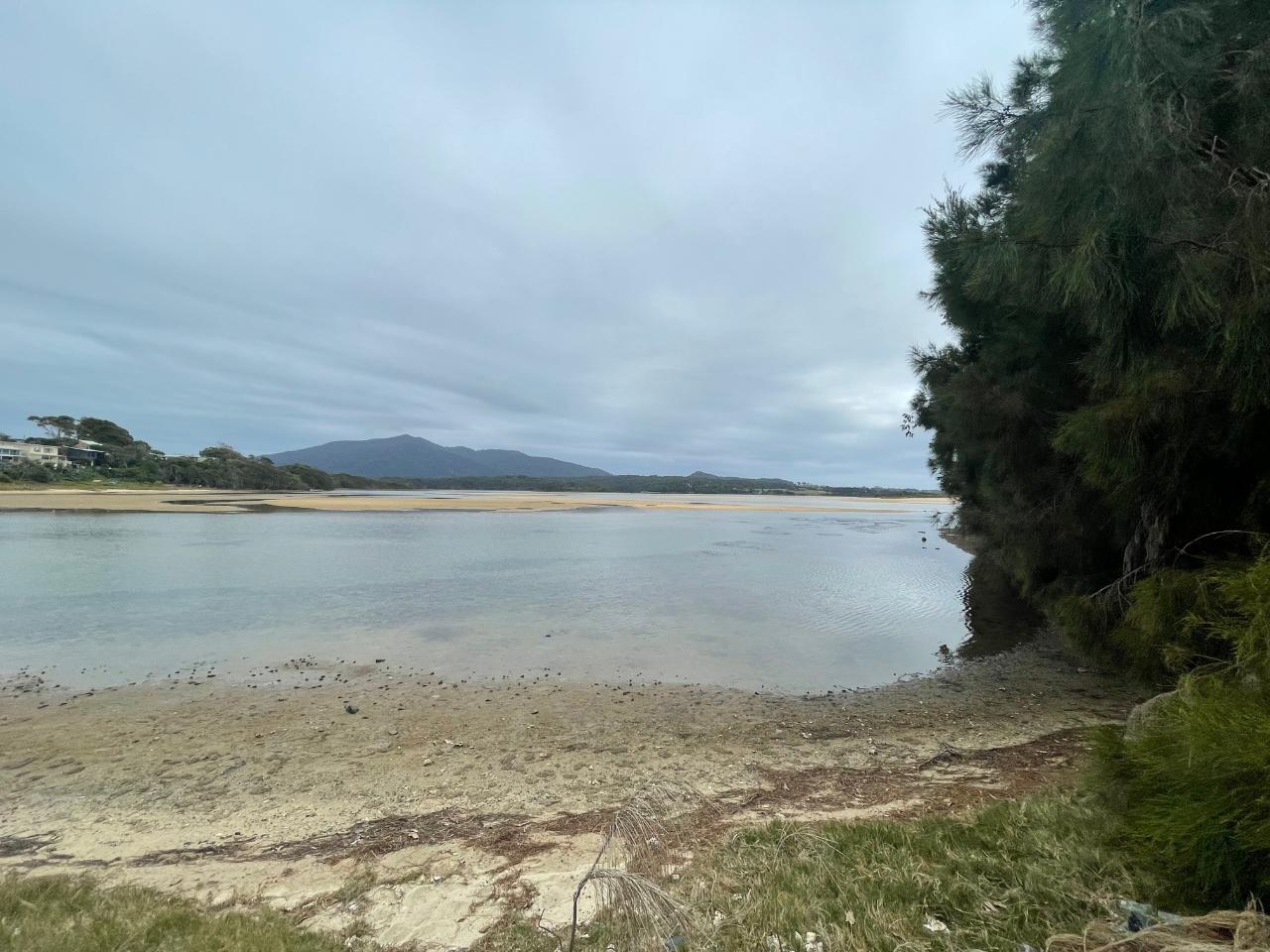 Walking On Country With Warren Foster Of Yannaga Yoowaga Tours At Wallaga Lake