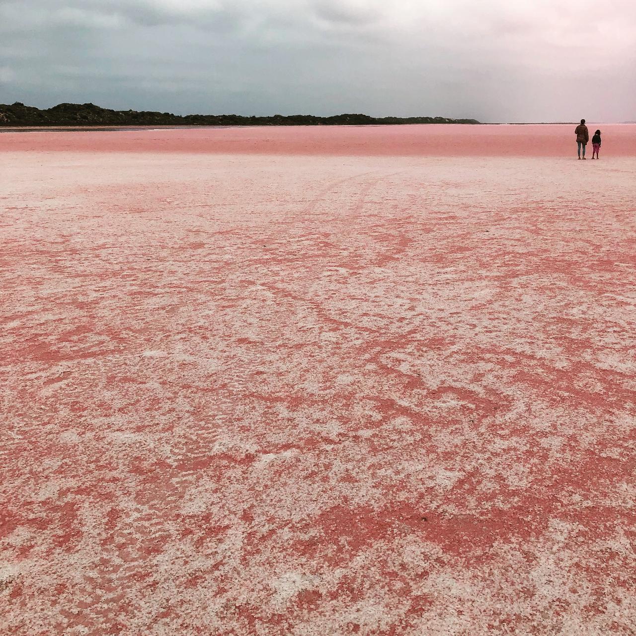 Pink Lake Buggy Tour