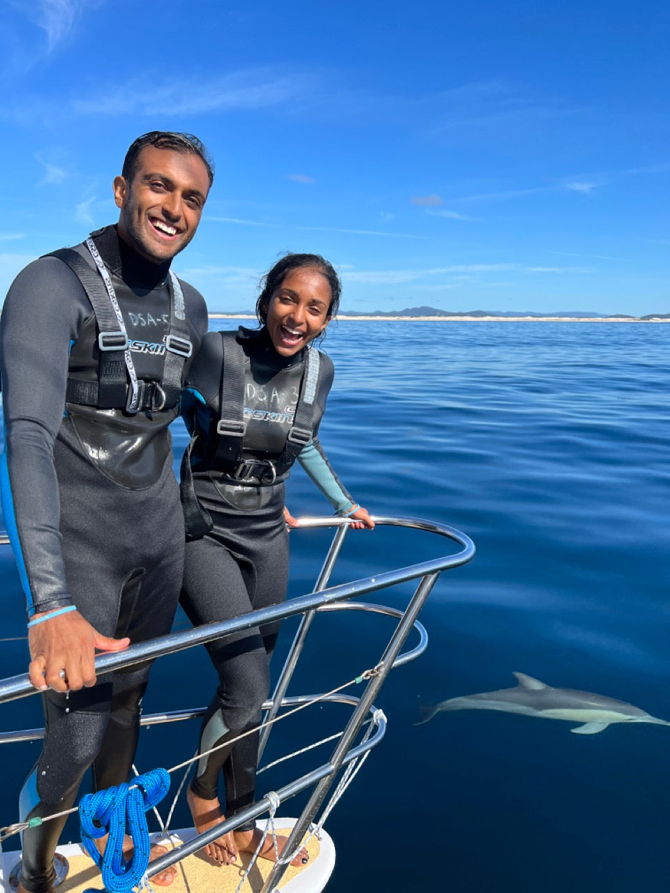 Wild Dolphin Swim & Watch