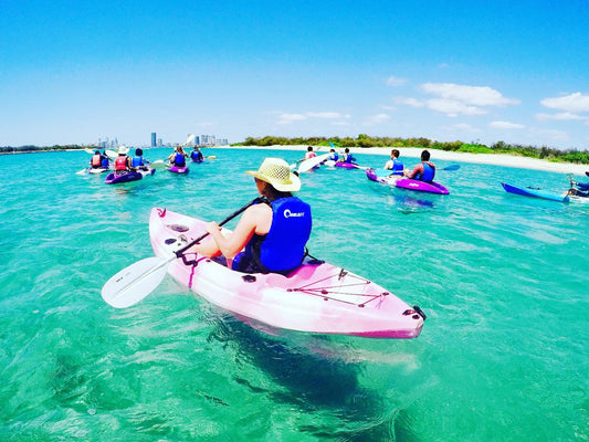 Broadwater Dolphin Kayaking & Snorkeling Tour