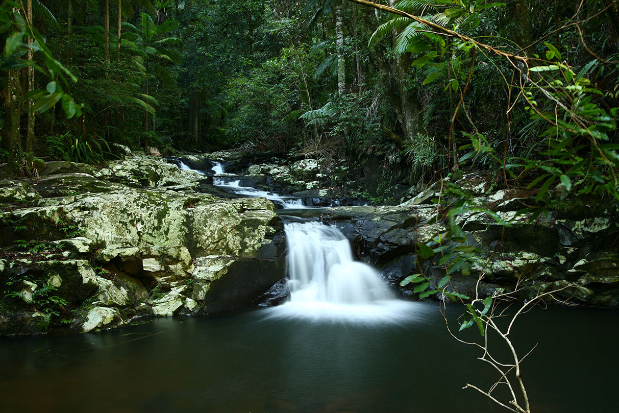 Hinterland Magic & Glow-Worm Experience