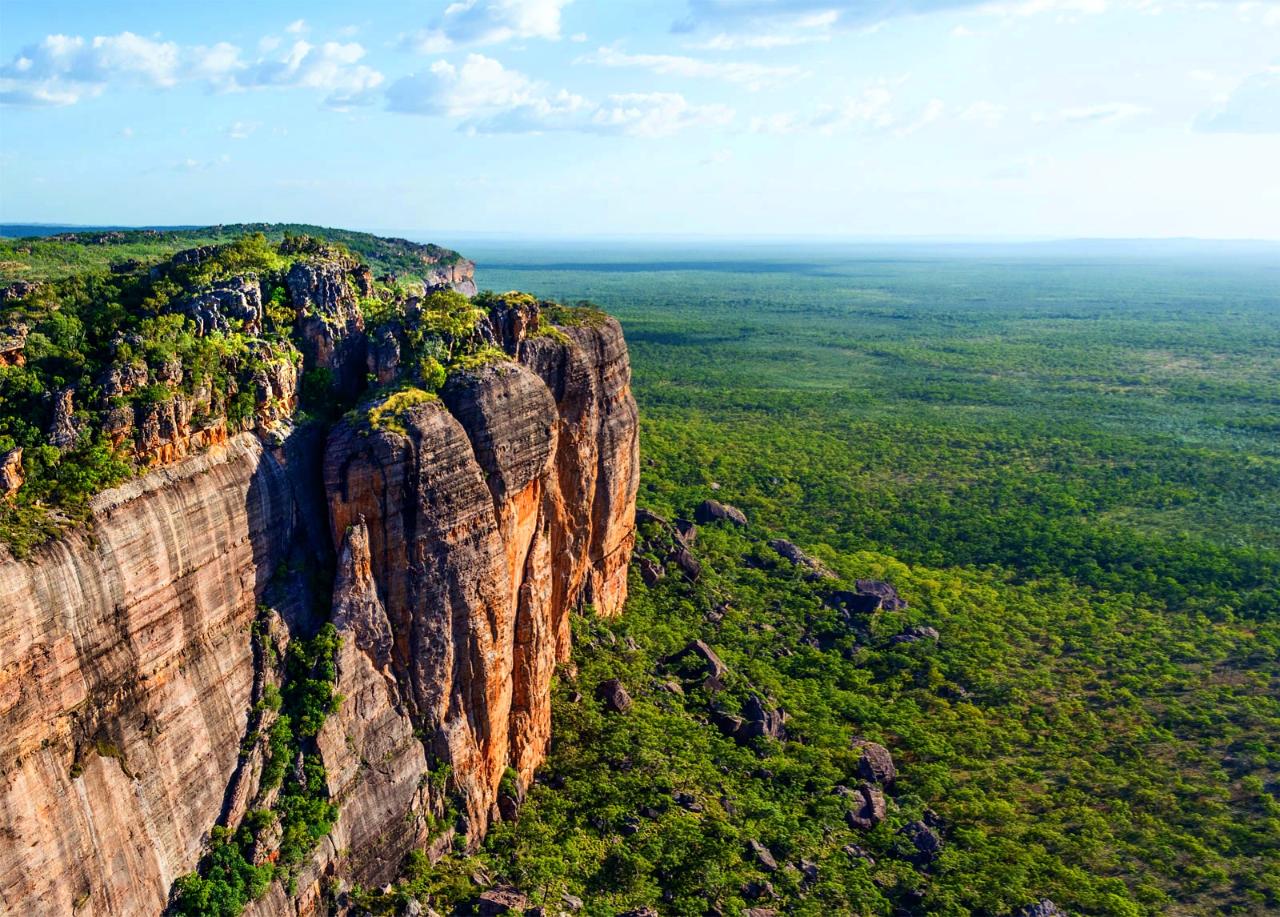 Kakadu In A Day