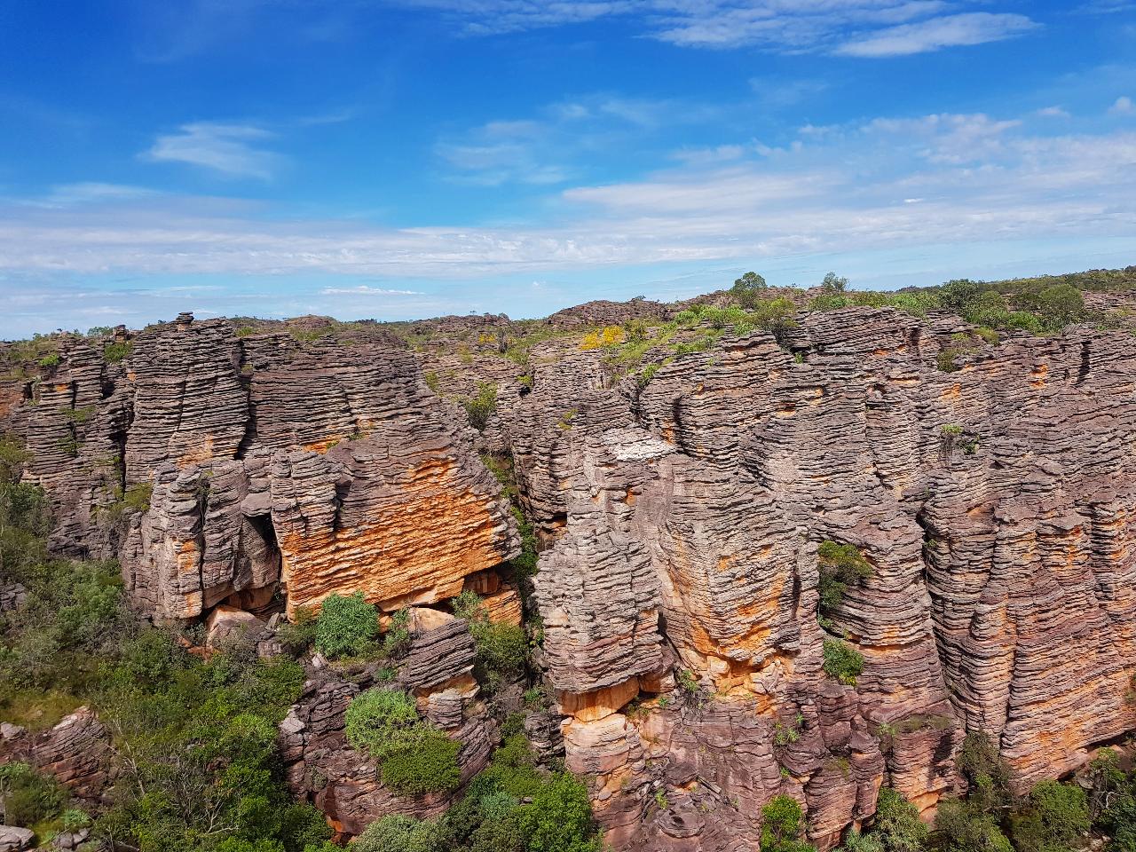Kakadu In A Day