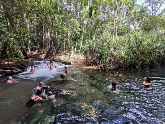 Darwin: Berry Springs, Jumping Crocodiles Cruise, Fogg Dam & Outback Pub 1 Day Minivan