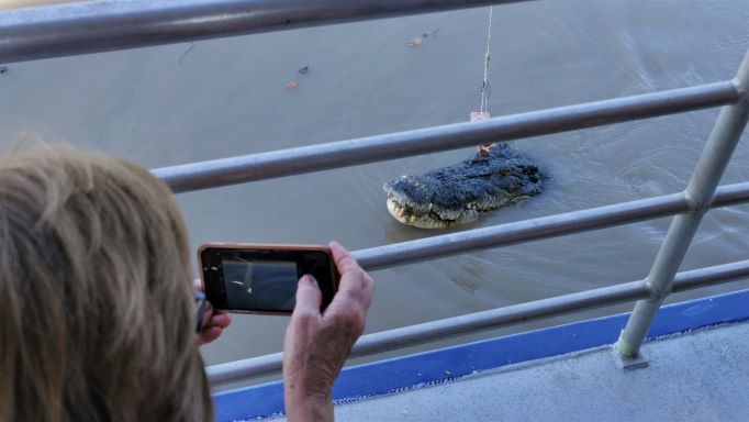 Darwin: Berry Springs, Jumping Crocodiles Cruise, Fogg Dam & Outback Pub 1 Day Minivan