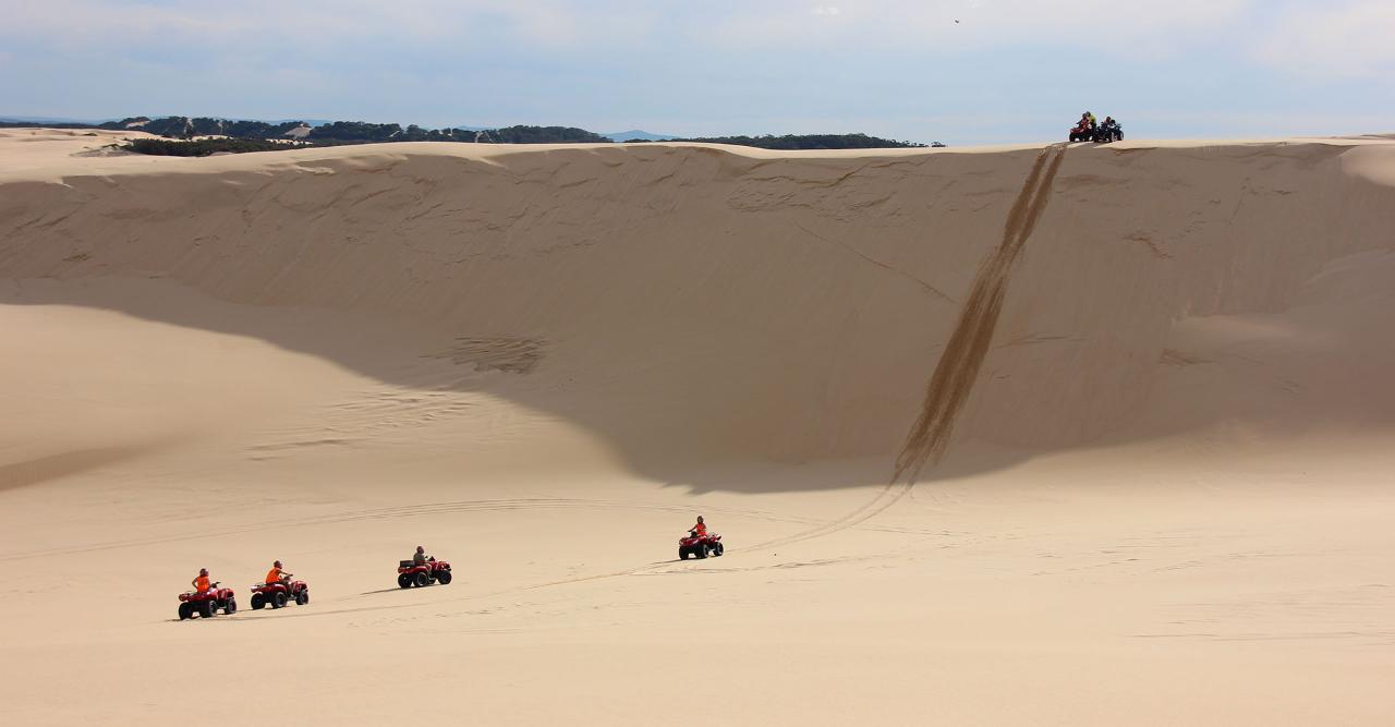 1 Hour Quad Bike Adventure Tour