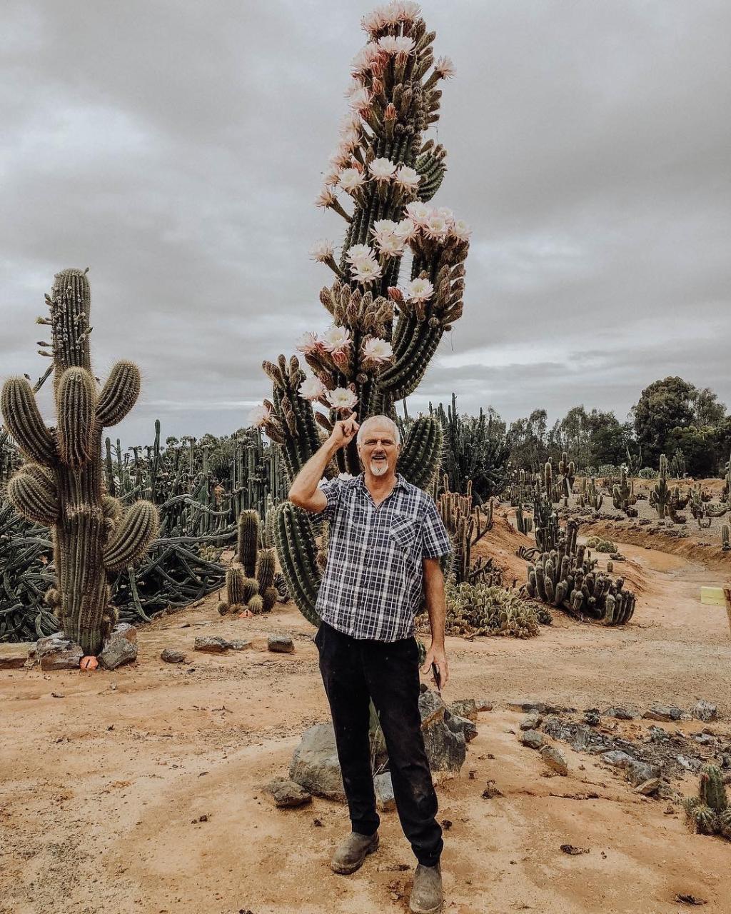 Garden Entry At Cactus Country