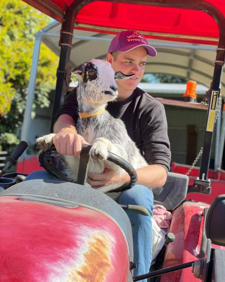 1Hr Personal Animal Tour