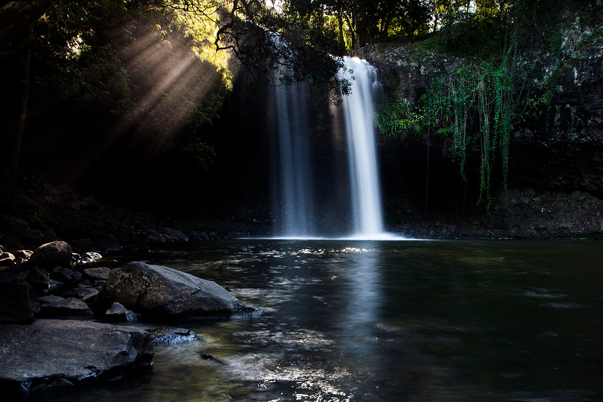 Hinterland Magic & Glow-Worm Experience