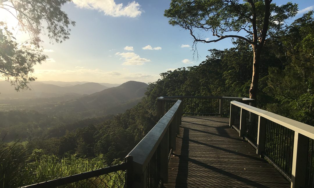 Montville Day Tour: Ginger Factory, Rainforest & Views
