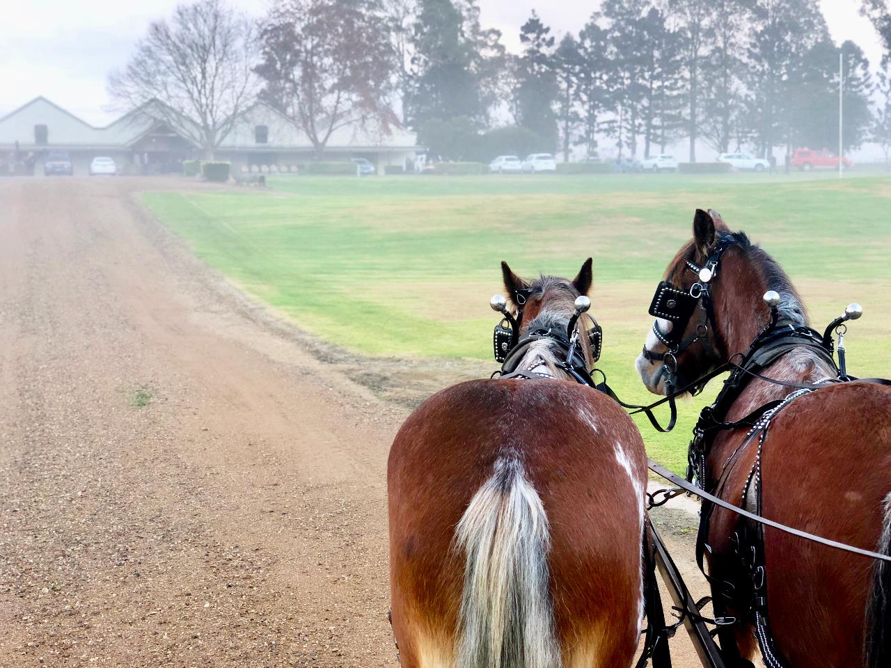 Romantic Couple's Private Horse And Carriage Wine Tour