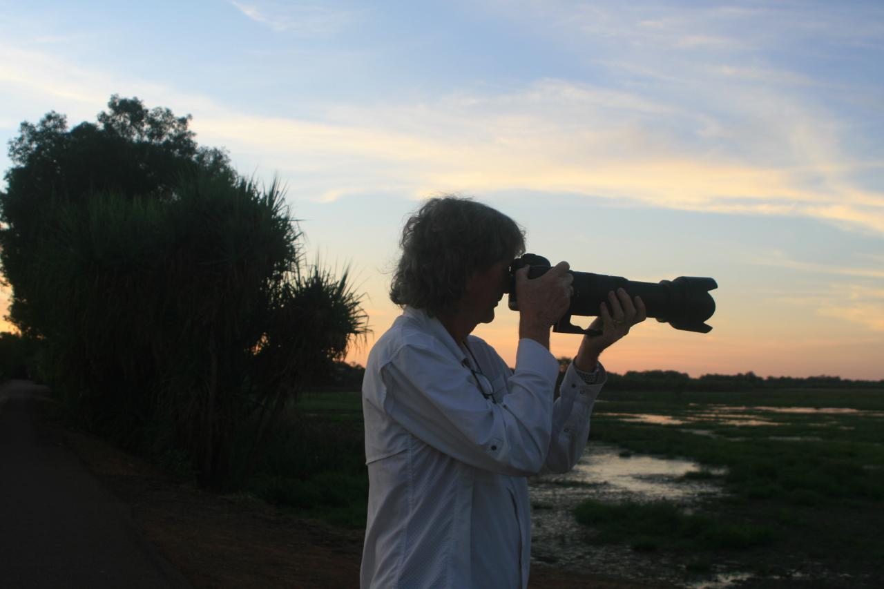 Darwin: 1 Day Litchfield N.P. And Jumping Crocodile Tour