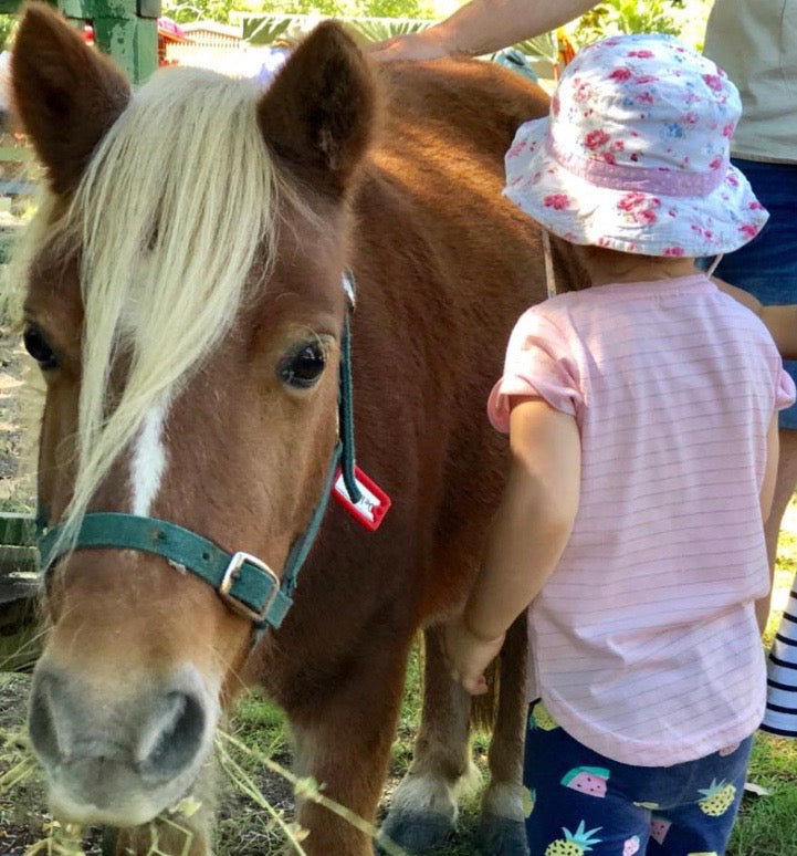 1Hr Personal Animal Tour