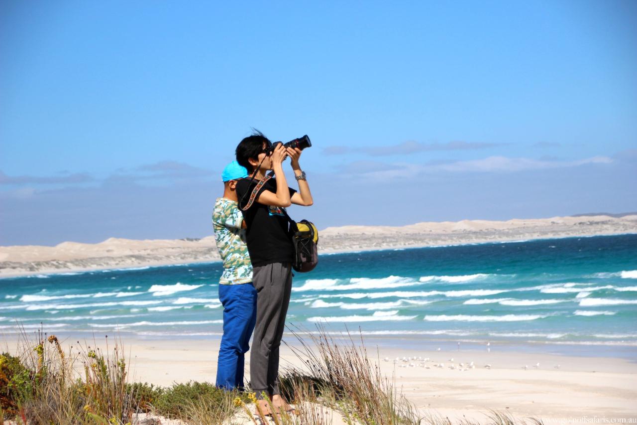 Coffin Bay Oysters, Ocean And Nature Tour - Full Day