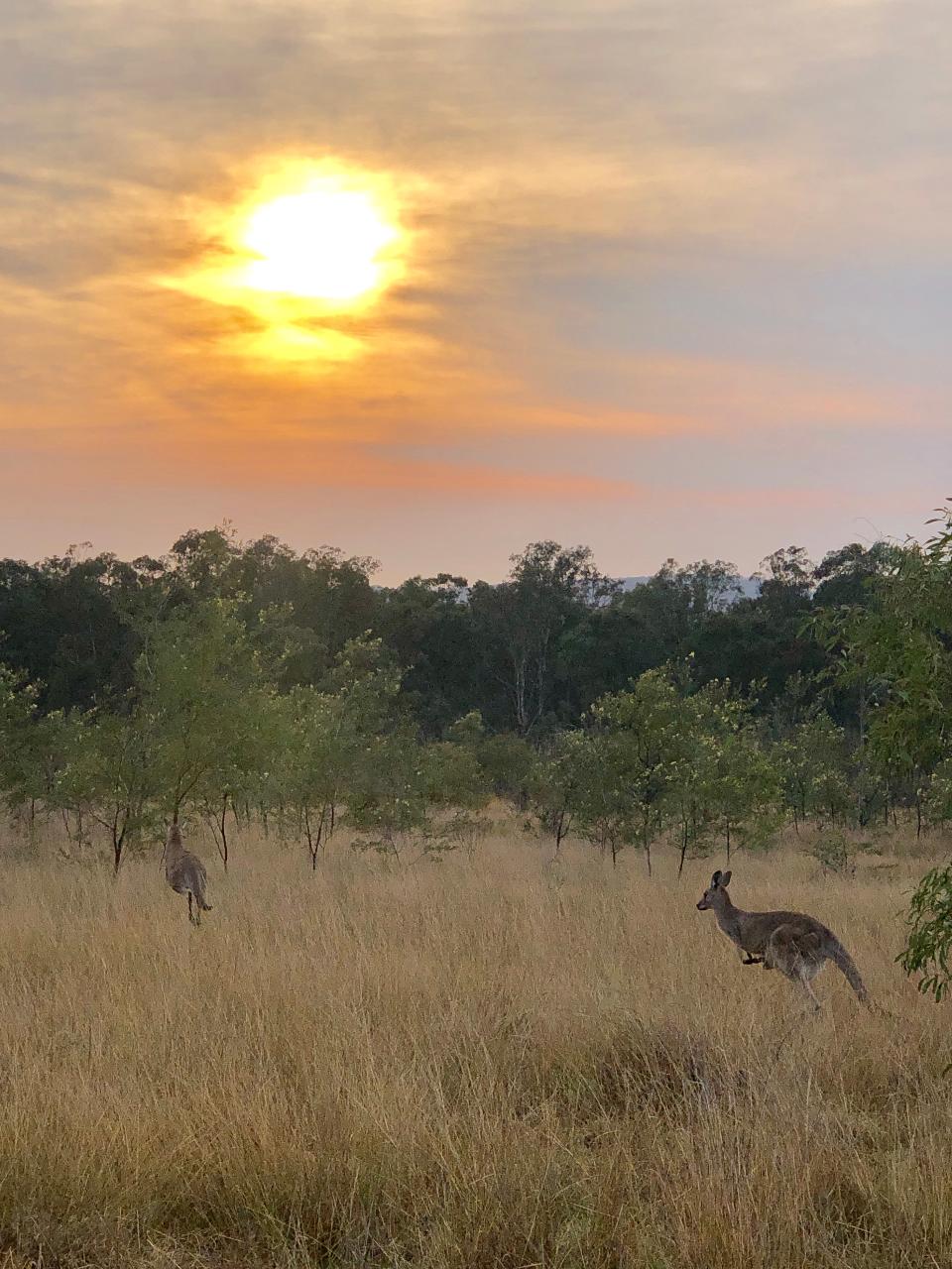 Rise And Shine - Group 75-Minute Early Morning