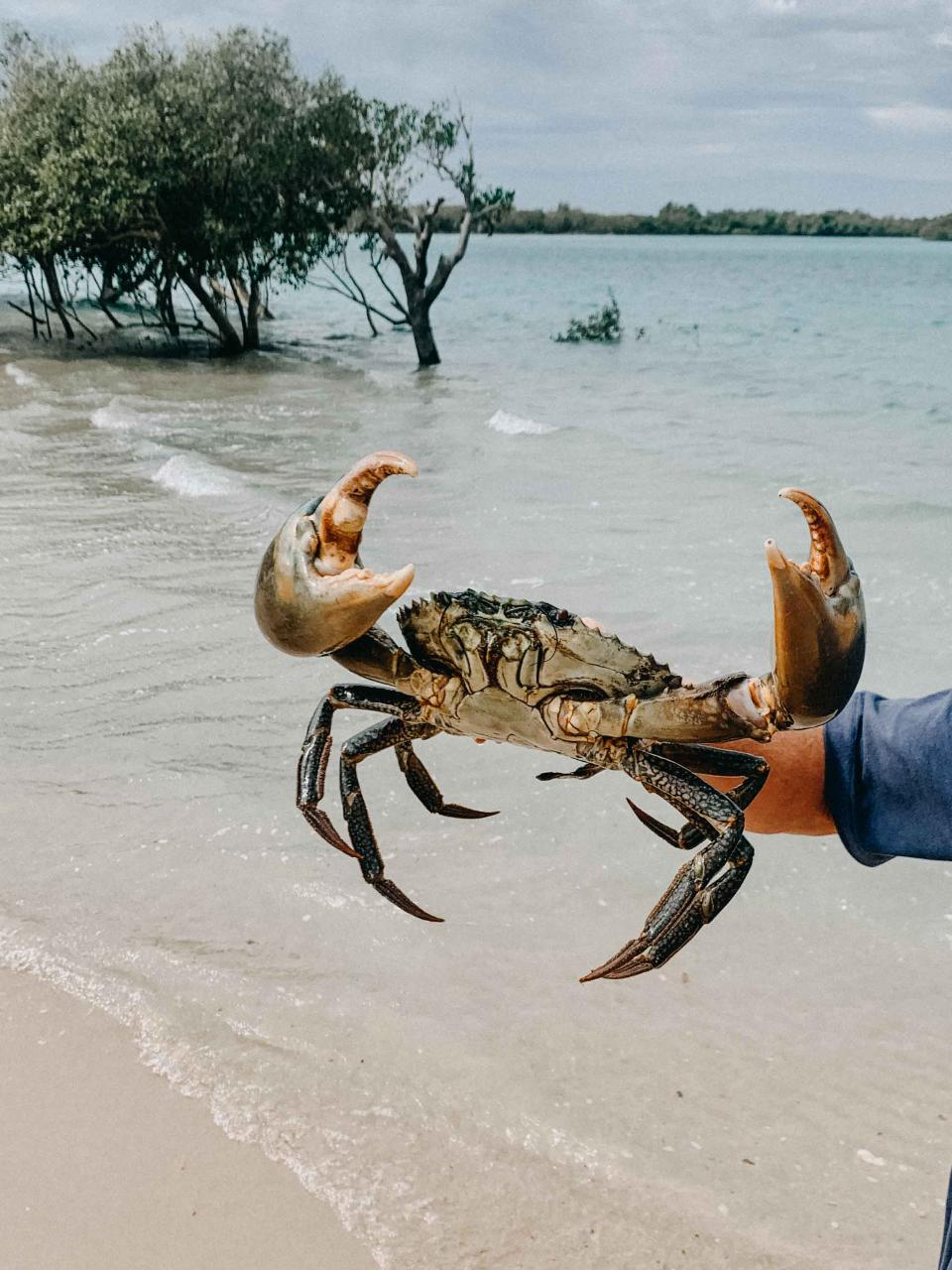 Mud Crabbing Adventure