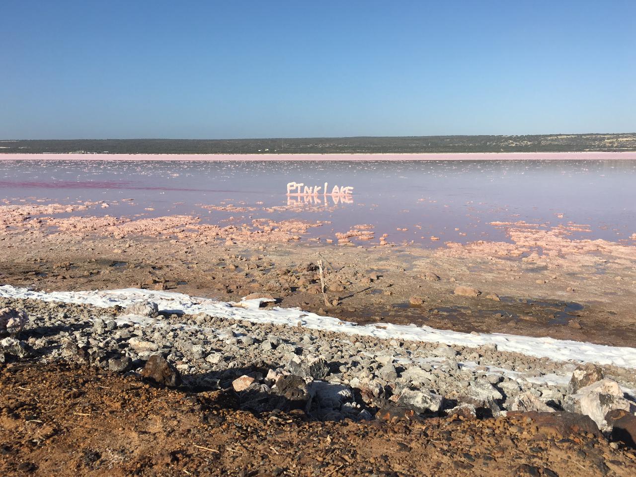 Pink Lake Buggy Tour