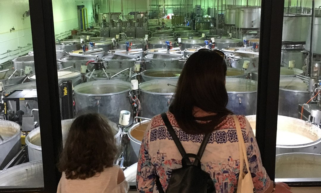 Montville Day Tour: Ginger Factory, Rainforest & Views