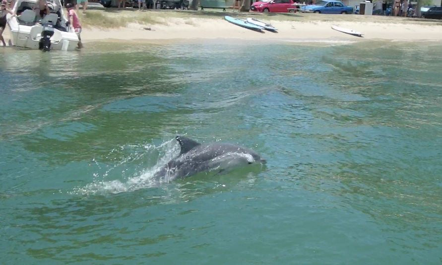 Paradise Sup Tour - Stand Up Paddle Tour