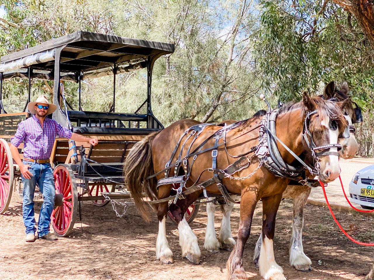 Harvest The Hunter Wine And Produce Tour