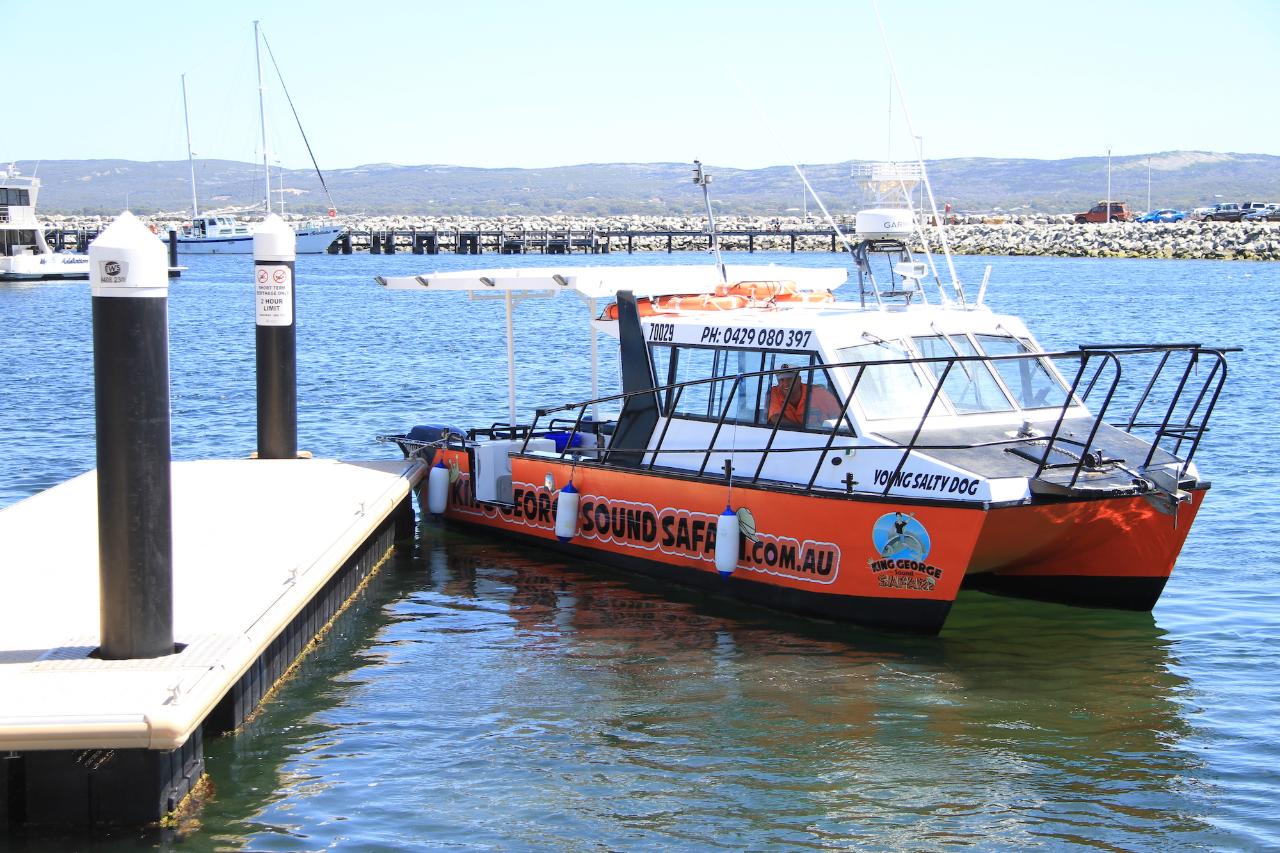 2 Hour Summer Sea Safari (Nov - Apr) Around King George Sound